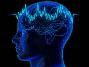 Temel EEG-EMG Kursu Duyurusu