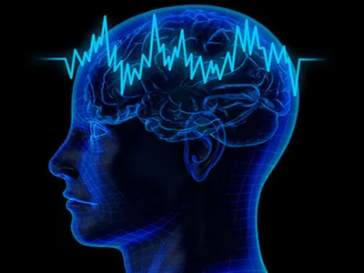 Klinik Nörofizyoloji EEG-EMG Derneği - EMG Kursu